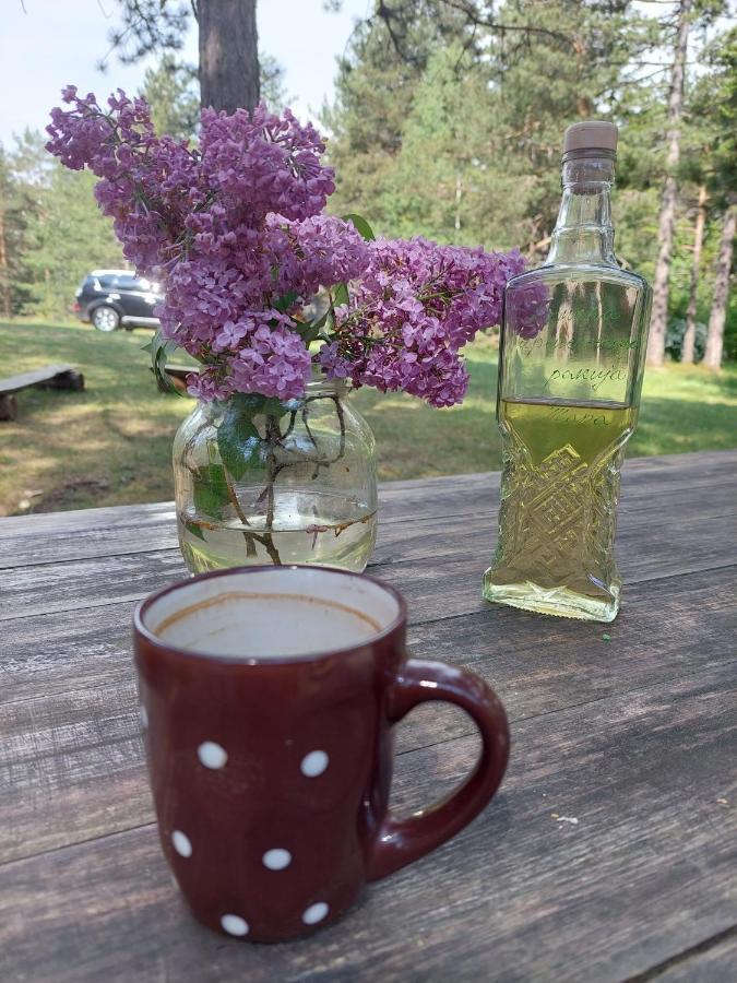 Rustic Home Tara Kaludjerske Bare Eksteriør billede