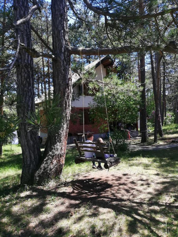 Rustic Home Tara Kaludjerske Bare Eksteriør billede