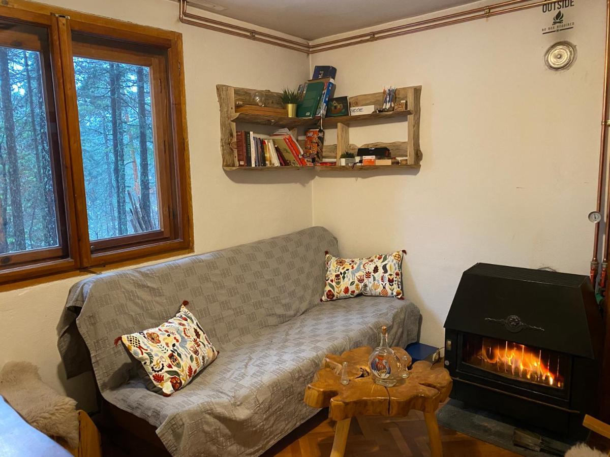 Rustic Home Tara Kaludjerske Bare Eksteriør billede